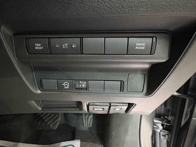 0701093A30260916W01006.jpg