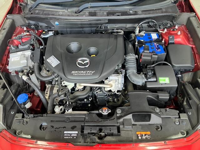 0303774A30260514W00109.jpg