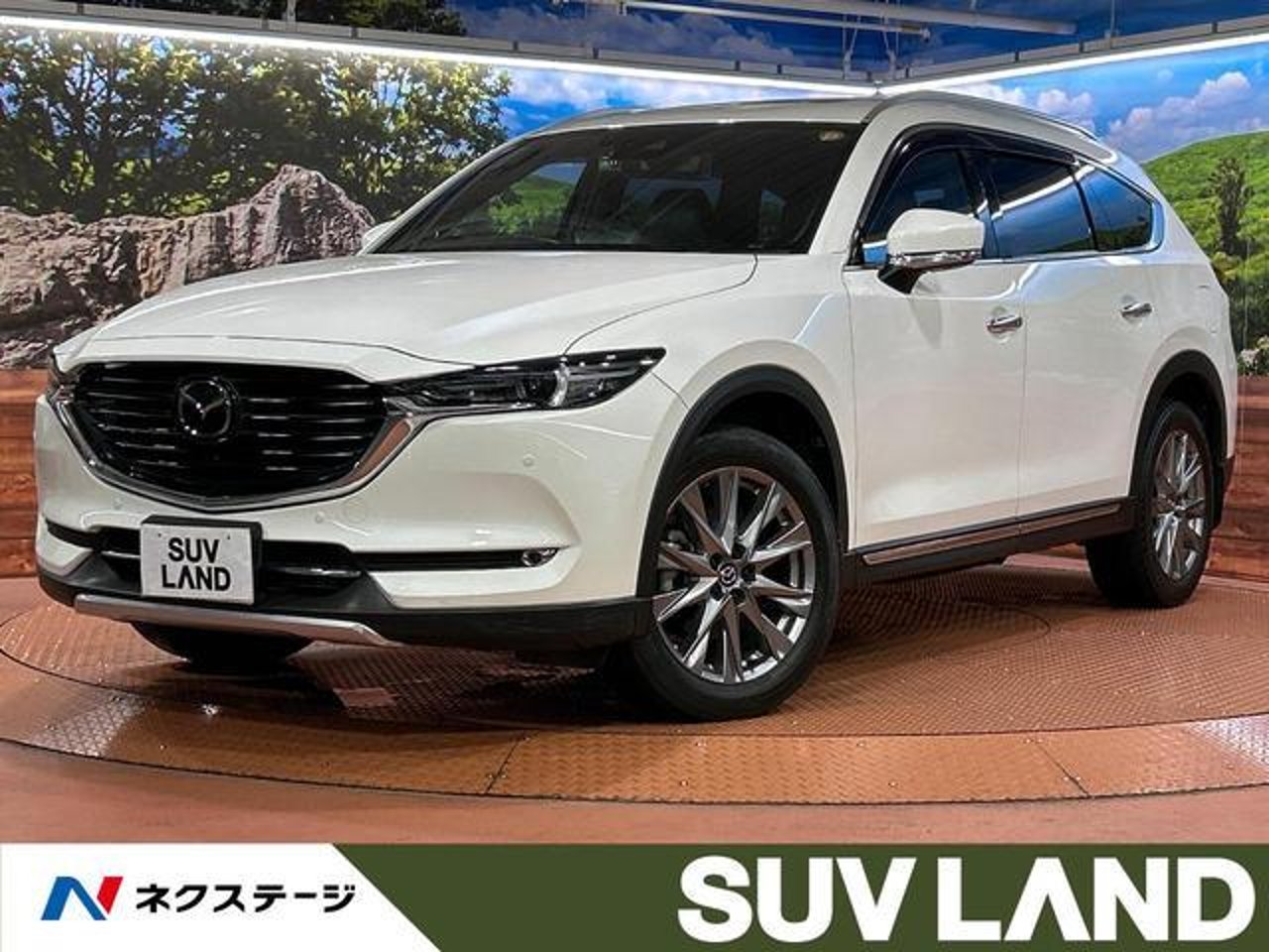 2020 Mazda Cx8, photo 1 of 1