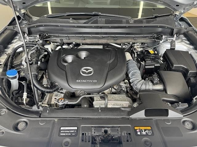 0620200A20260822D00313.jpg