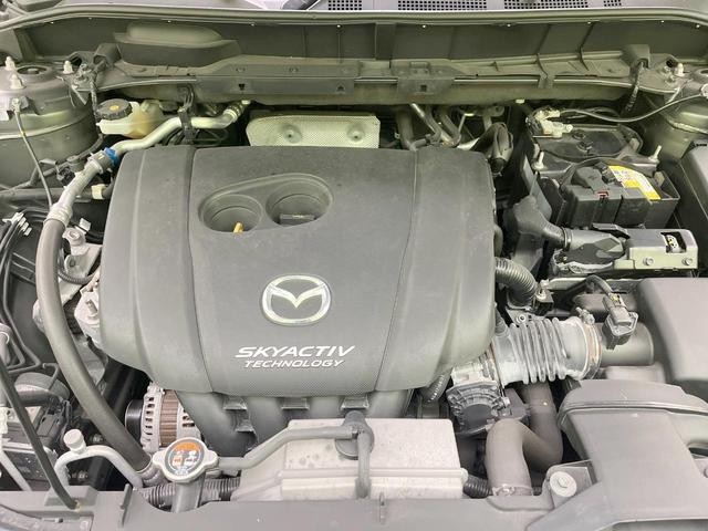 27094389_carP_l_16.jpg