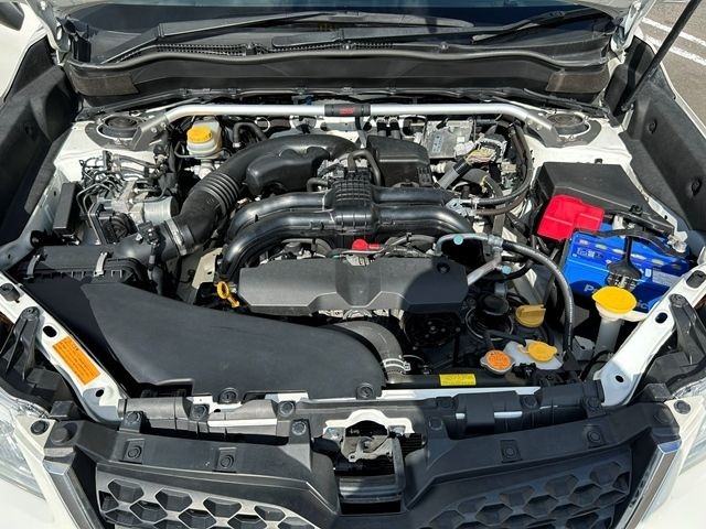 b33b0dd71f400f65cf4067bd7cd257f7.jpg