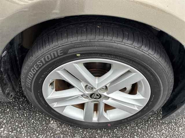 25663247_carP_l_19.jpg