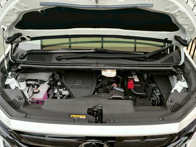 24788624_carP_l_7.jpg