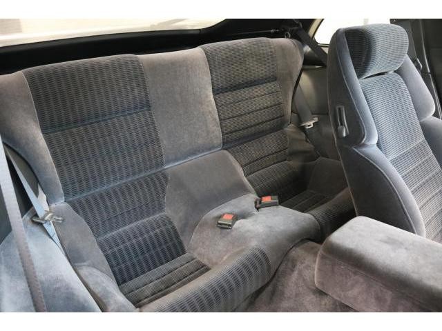 25467320_carP_l_14.jpg