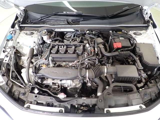 0509002A30260918W00817.jpg
