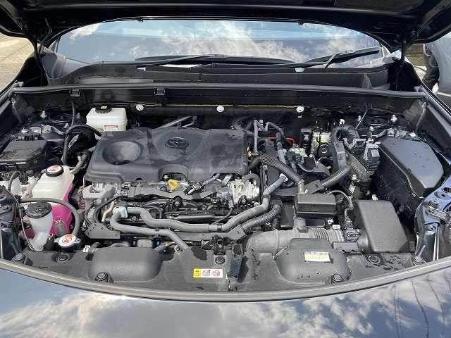 24927123_carP_l_16.jpg