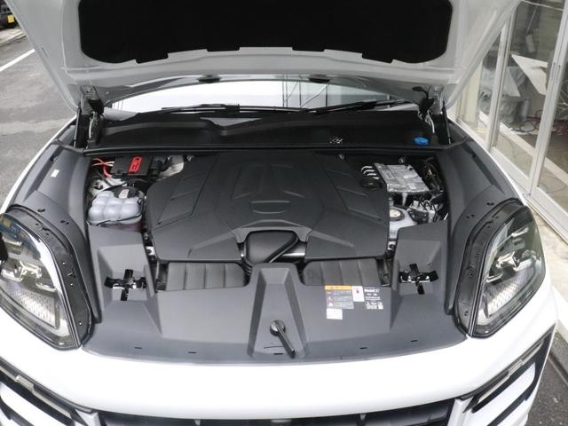 0570686A30260911W00116.jpg