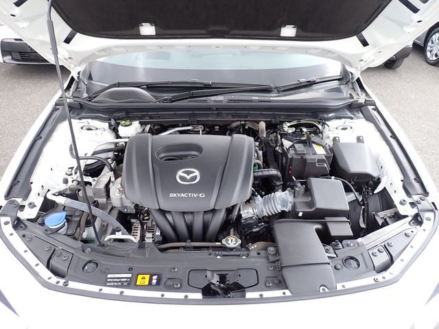 f57c45d458dde5fc0916bc701f346bfa.jpg