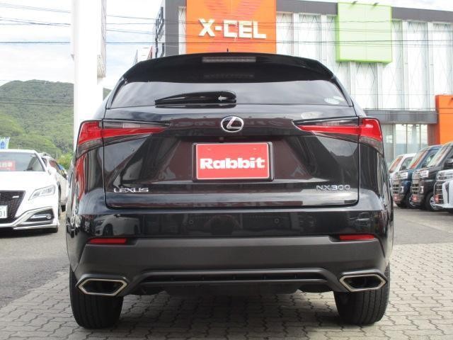 26169129_carP_l_3.jpg