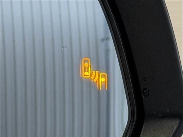 26506256_carP_l_17.jpg