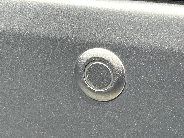 27116498_carP_l_13.jpg