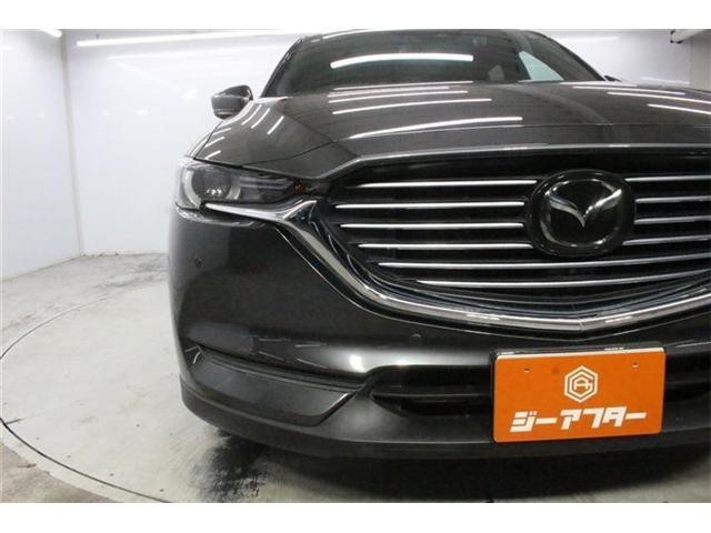 26725460_carP_l_5.jpg