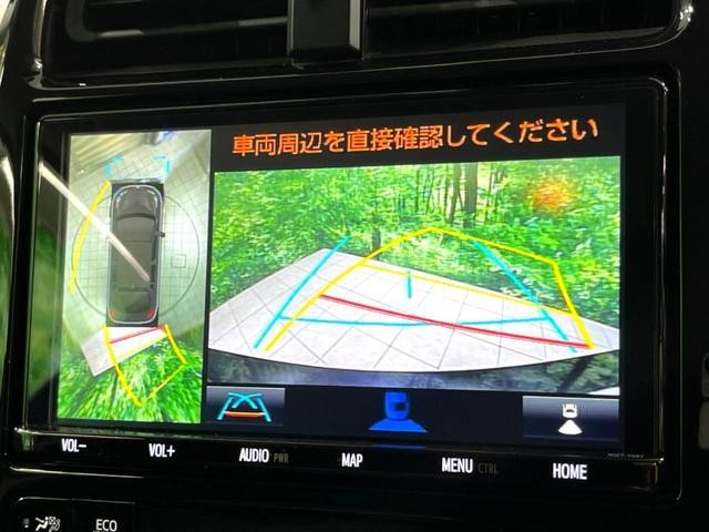 25885087_carP_l_10.jpg