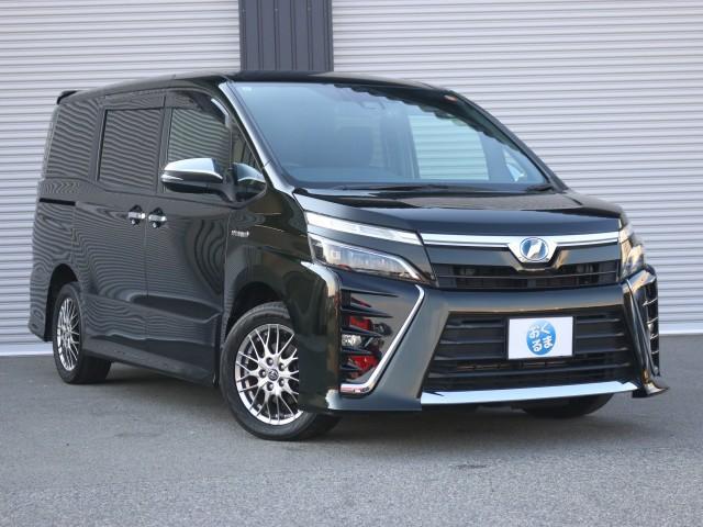 24265185_carP_l_6.jpg