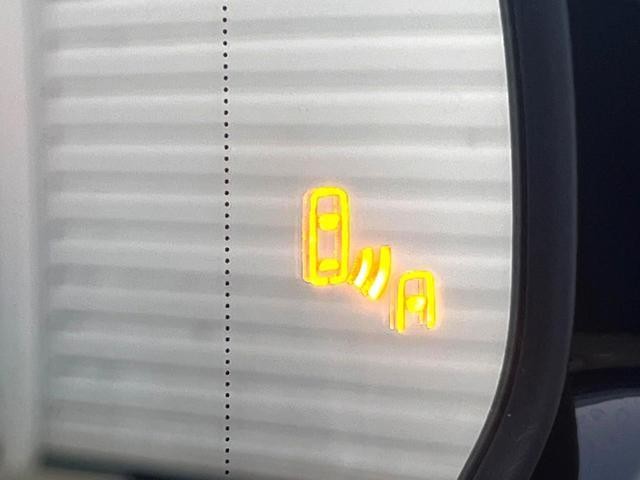 26989230_carP_l_13.jpg