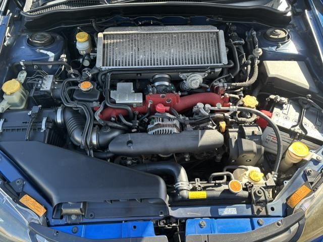 0206871A30260806W00111.jpg
