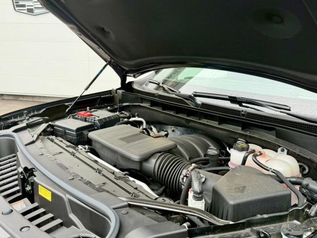 24280127_carP_l_16.jpg