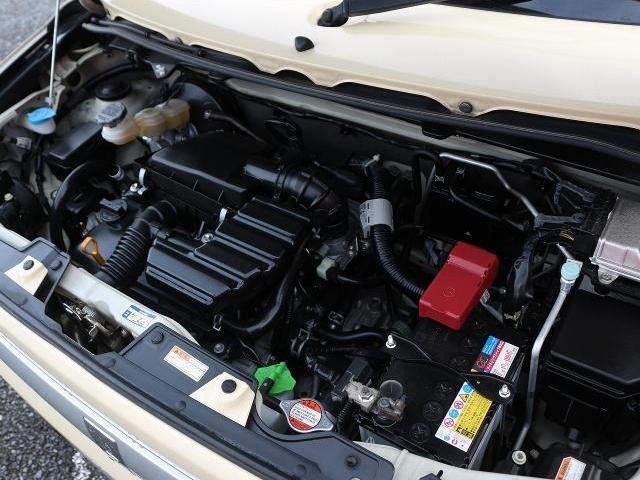26147377_carP_l_20.jpg