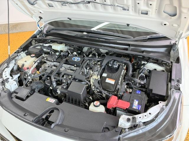 0560069A30260615W00505.jpg