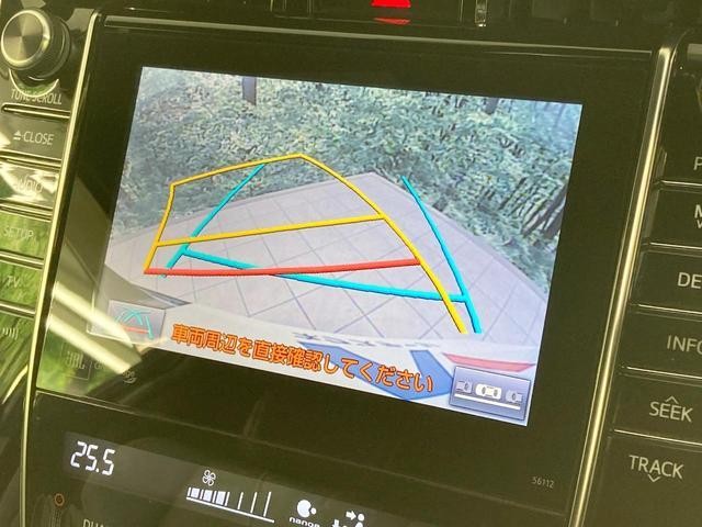 25885101_carP_l_10.jpg