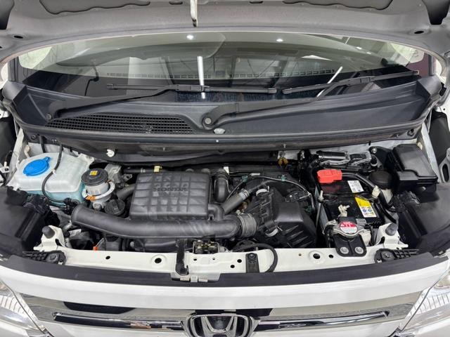 1150063A30260907W00818.jpg