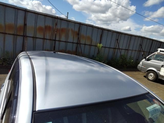 26016873_carP_l_14.jpg
