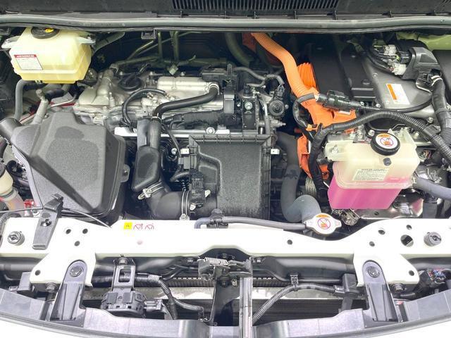 24155547_carP_l_18.jpg