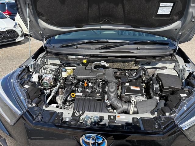 1300934A30261012W00118.jpg