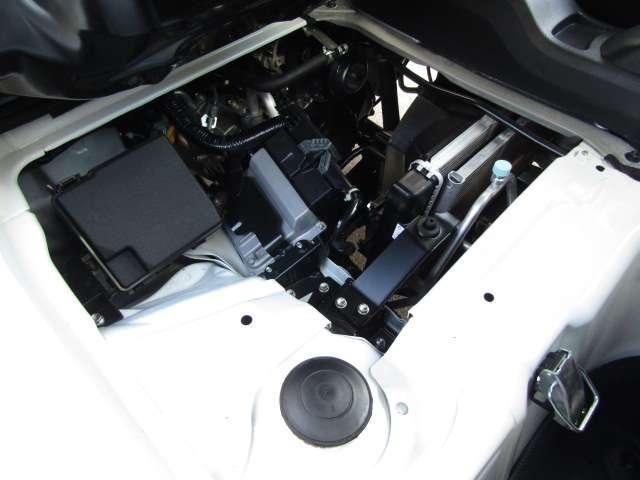 26908728_carP_l_6.jpg