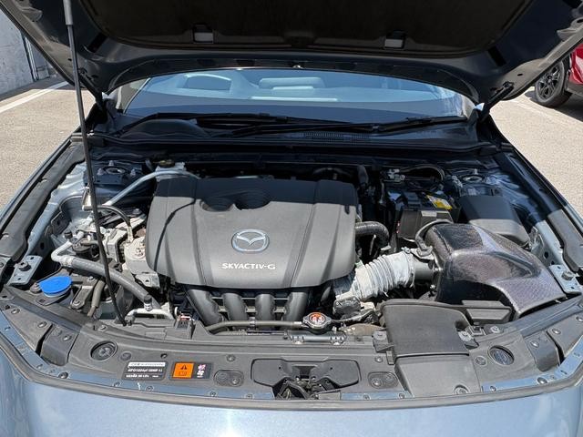 1000094A30260725W00116.jpg