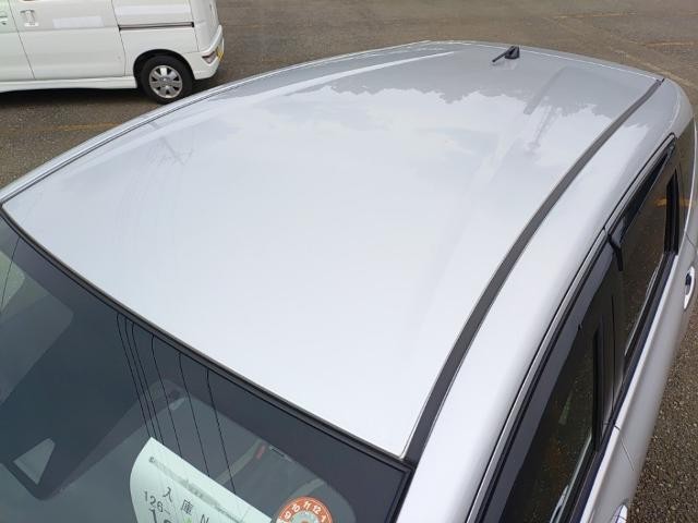 26016903_carP_l_14.jpg