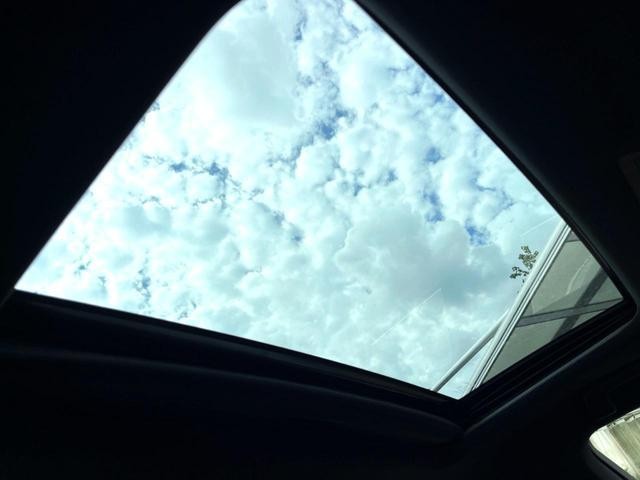 27072561_carP_l_15.jpg
