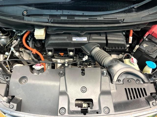26838238_carP_l_18.jpg