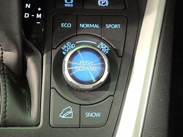 0230024A30260723W00212.jpg