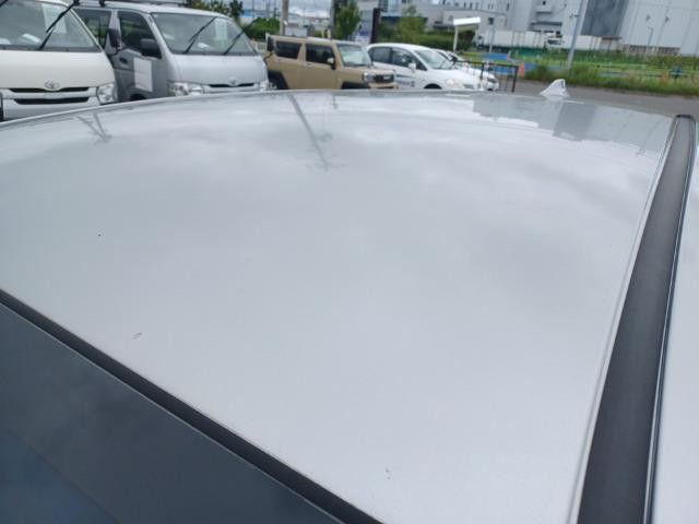 26016909_carP_l_14.jpg