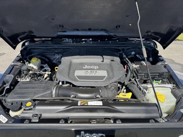23035870_carP_l_8.jpg