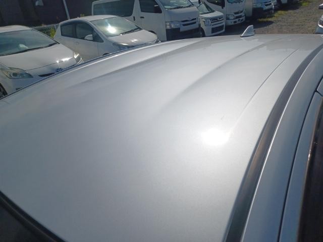 26016912_carP_l_14.jpg