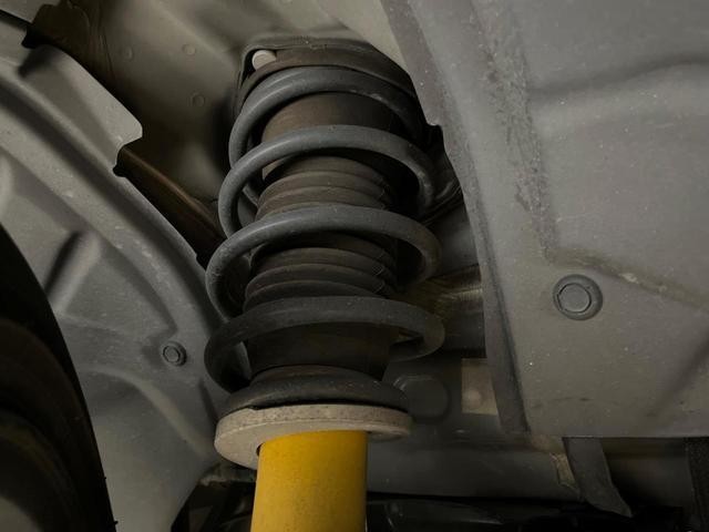 25138041_carP_l_18.jpg