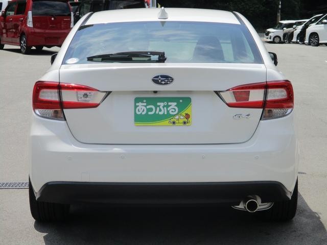 25194600_carP_l_15.jpg