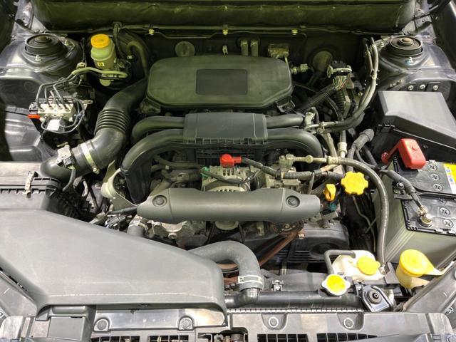 24280461_carP_l_18.jpg