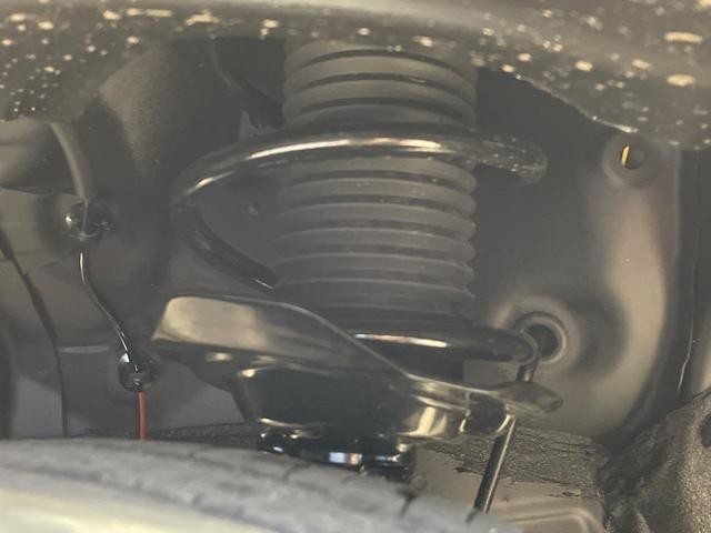 25036350_carP_l_20.jpg
