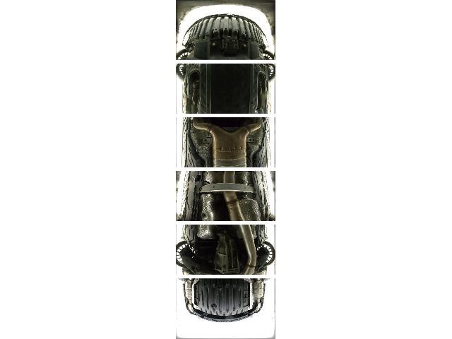 25378269_carP_l_12.jpg