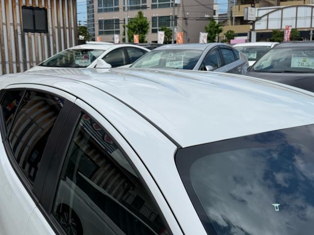 0706195A30260529W00112.jpg