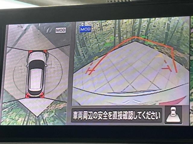 26924481_carP_l_4.jpg
