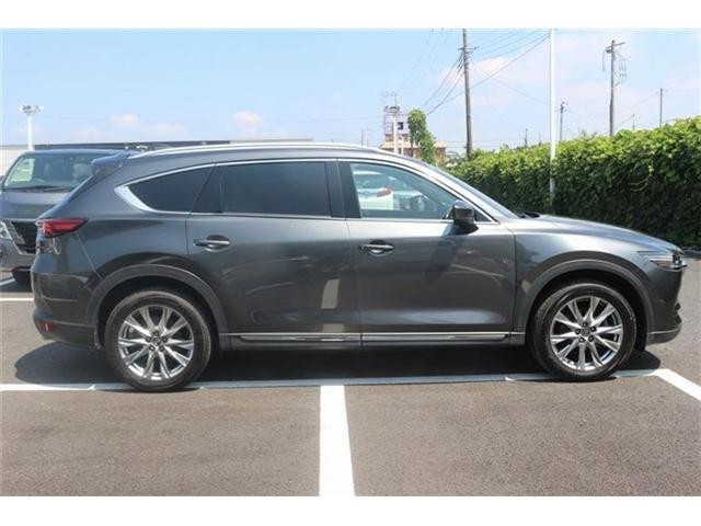 26017010_carP_l_13.jpg