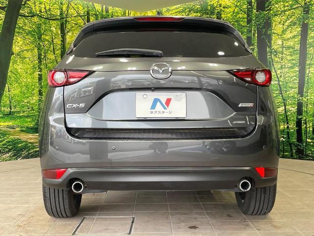 24155829_carP_l_9.jpg