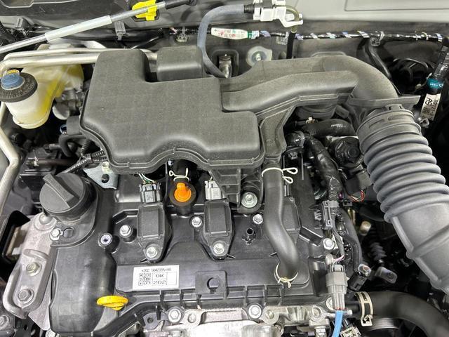 24280597_carP_l_16.jpg
