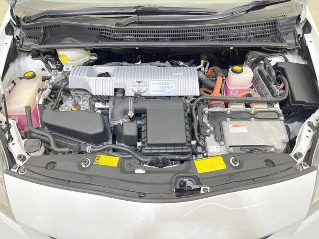 26924659_carP_l_16.jpg