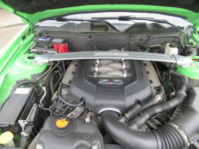 9210195A30260605W00115.jpg
